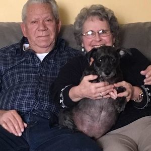 Meet your Posher, Beverly